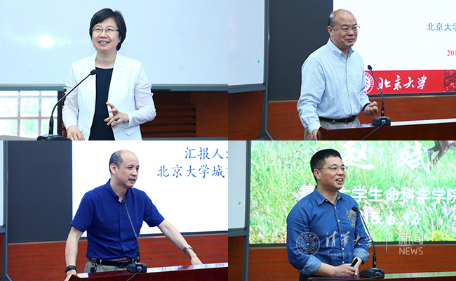 1531985143080013811.jpg 1529062042546.jpg