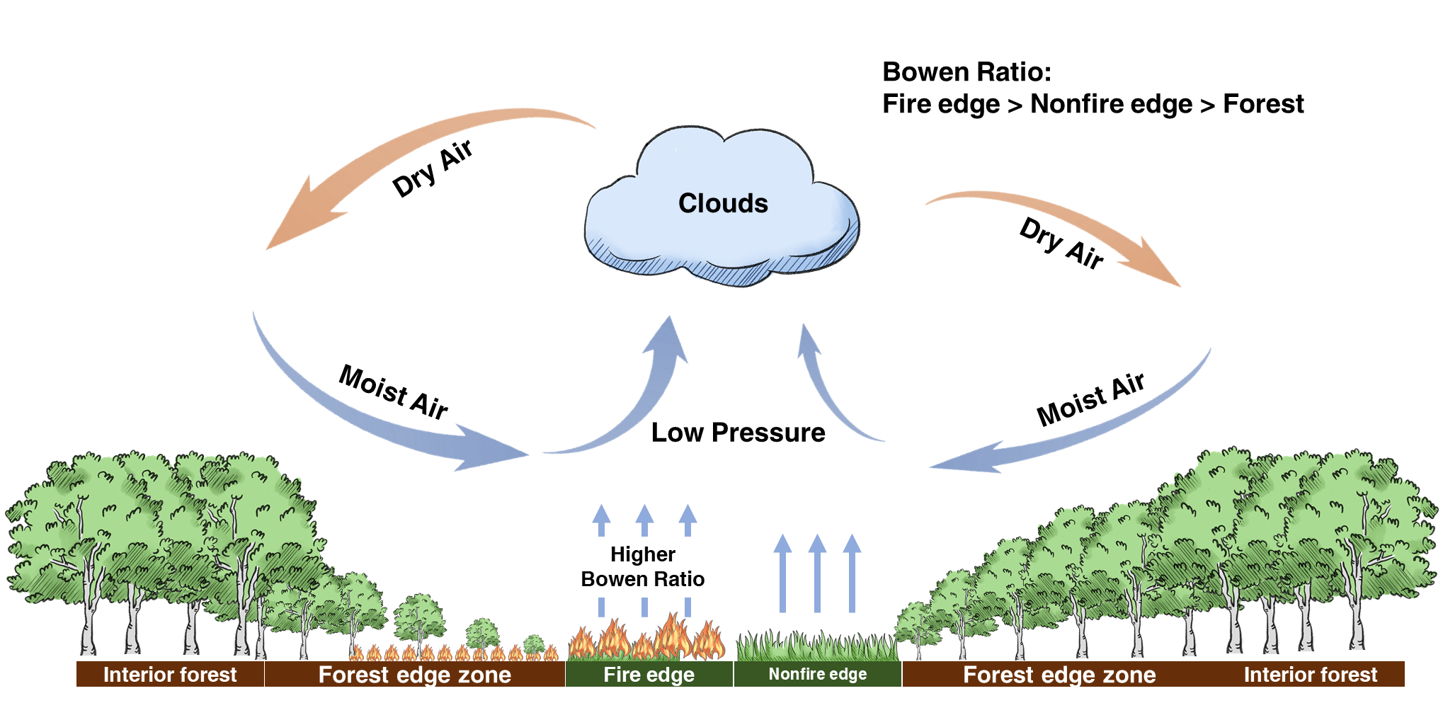 1626314395196027640.png 81C4F8A4768BDCBFA5D61011E85_7927E646_A8ACC (1).png