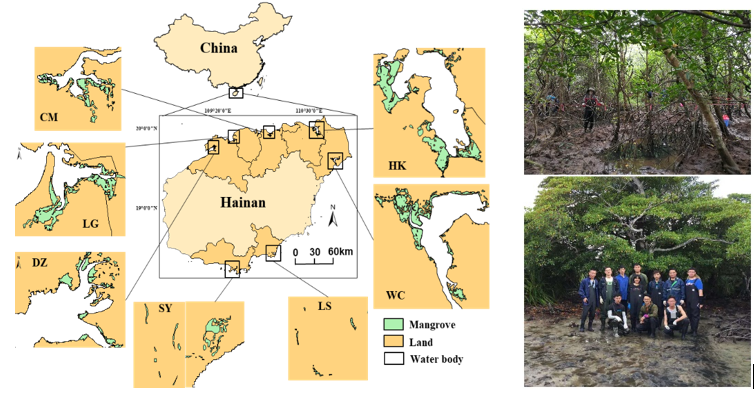 1614582924829013161.png 3277099BE53A84439AAF85EBA68_2CEFC676_5D6C4.png