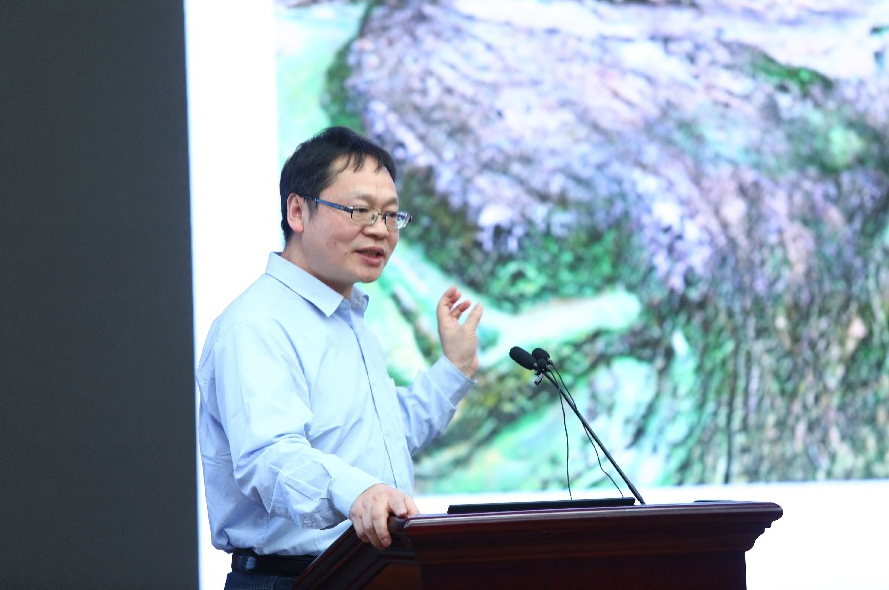 1550738834668081145.png 阳坤.png