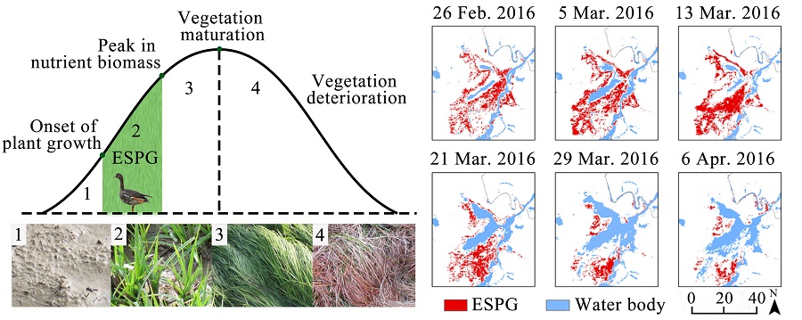 1545893867341079811.jpg 1545743535577.jpg