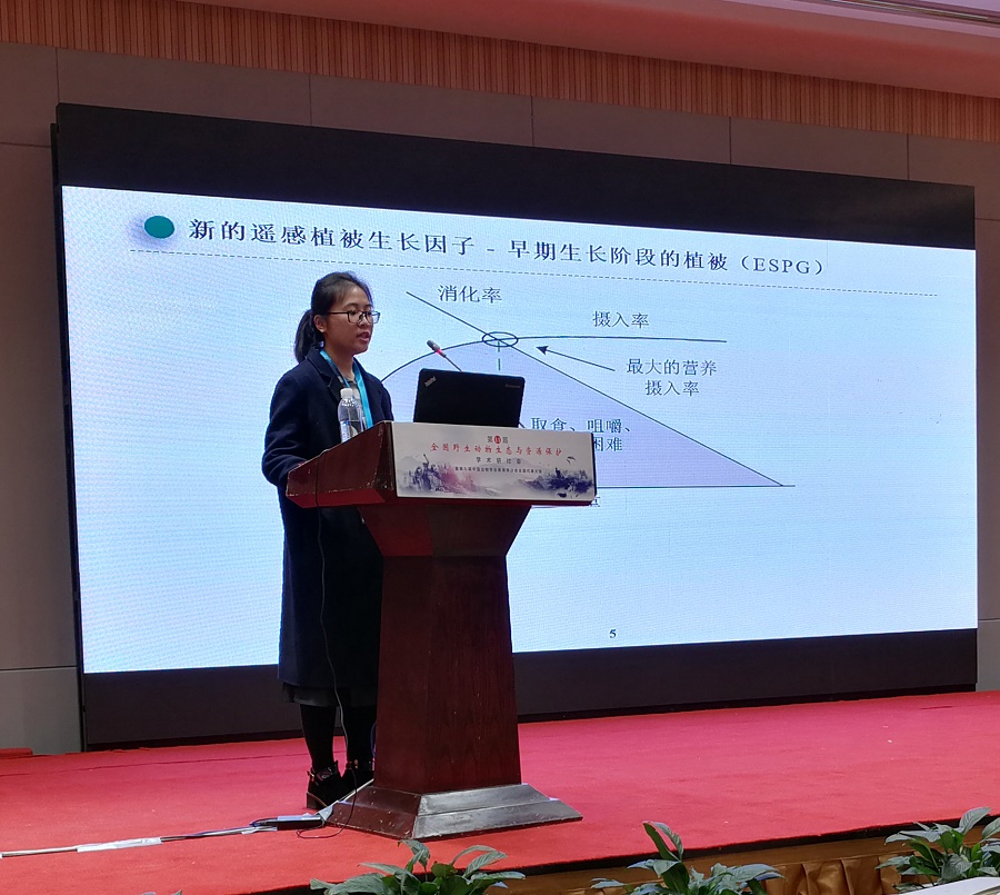 1545893884779060965.jpg 1545650349687.jpg