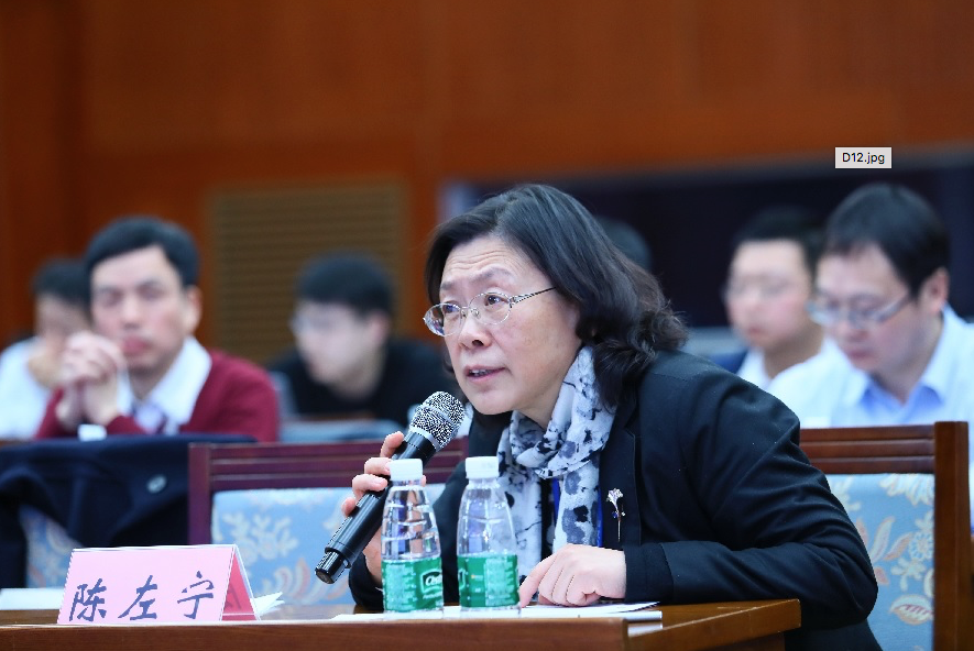 陈左宁.png